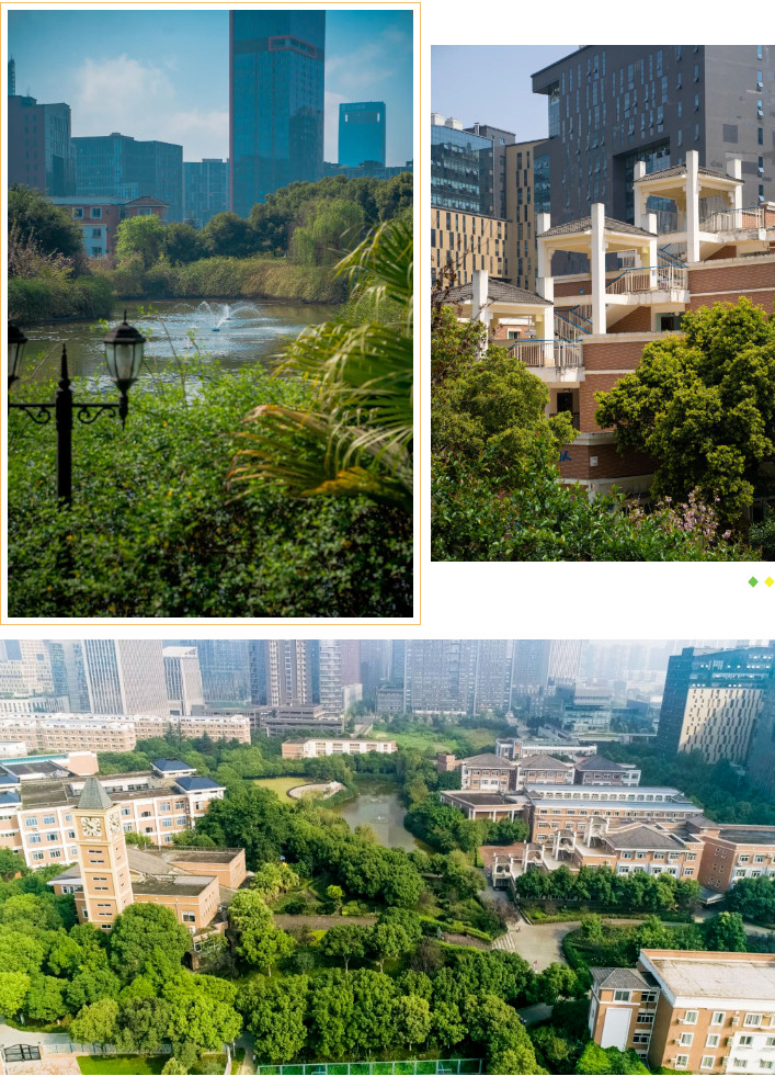 071014-1167.jpg 2024-07-10_104101.jpg