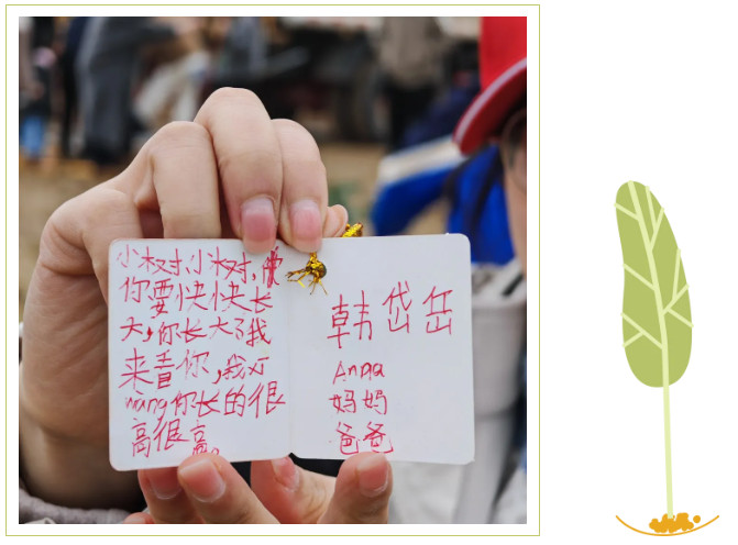 031848-1254.jpg 2025-03-18_092303.jpg