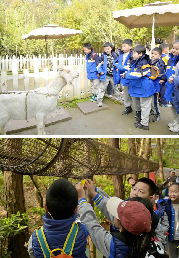 040716-1480.jpg 2025-04-07_092619.jpg