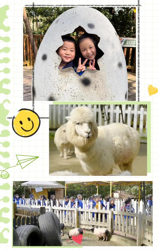 040726-2445.jpg 2025-04-07_092633.jpg