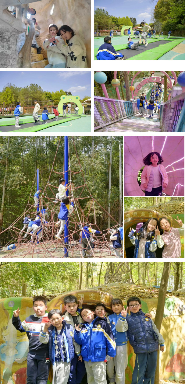 040740-1203.jpg 2025-04-07_092701.jpg