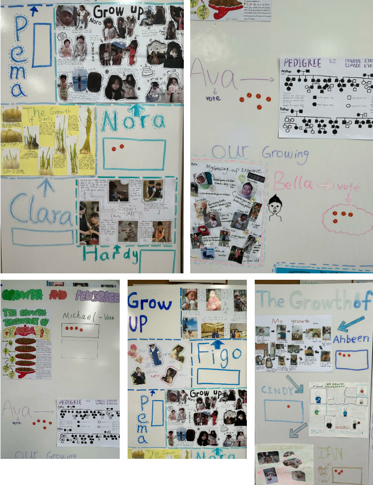 042501-9216.jpg 2025-04-25_110859.jpg