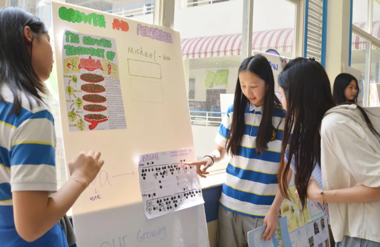 042533-9059.jpg 2025-04-25_110853.jpg