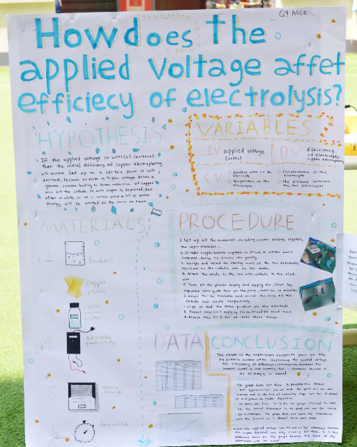 042539-4815.jpg 2025-04-25_113900.jpg