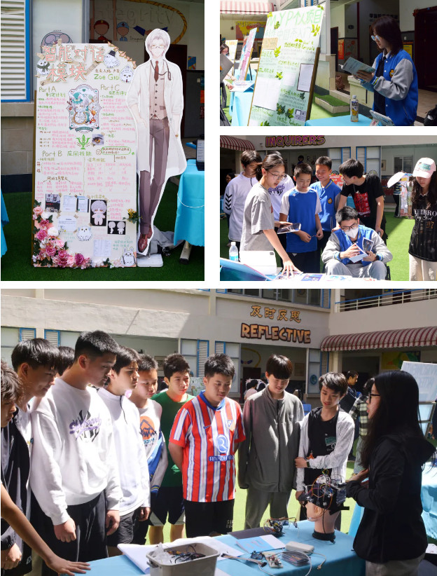 050621-4137.jpg 2025-05-06_095209.jpg