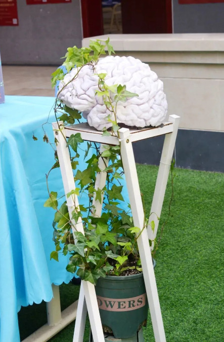 050639-1052.jpg 2025-05-06_095630.jpg