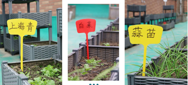 101715-9023.jpg 2025-10-17_154502.jpg